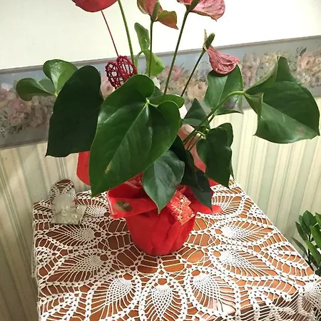 Al.fa Casa de Férias Syracuse