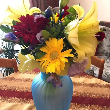 Al.fa بيت للعطل *